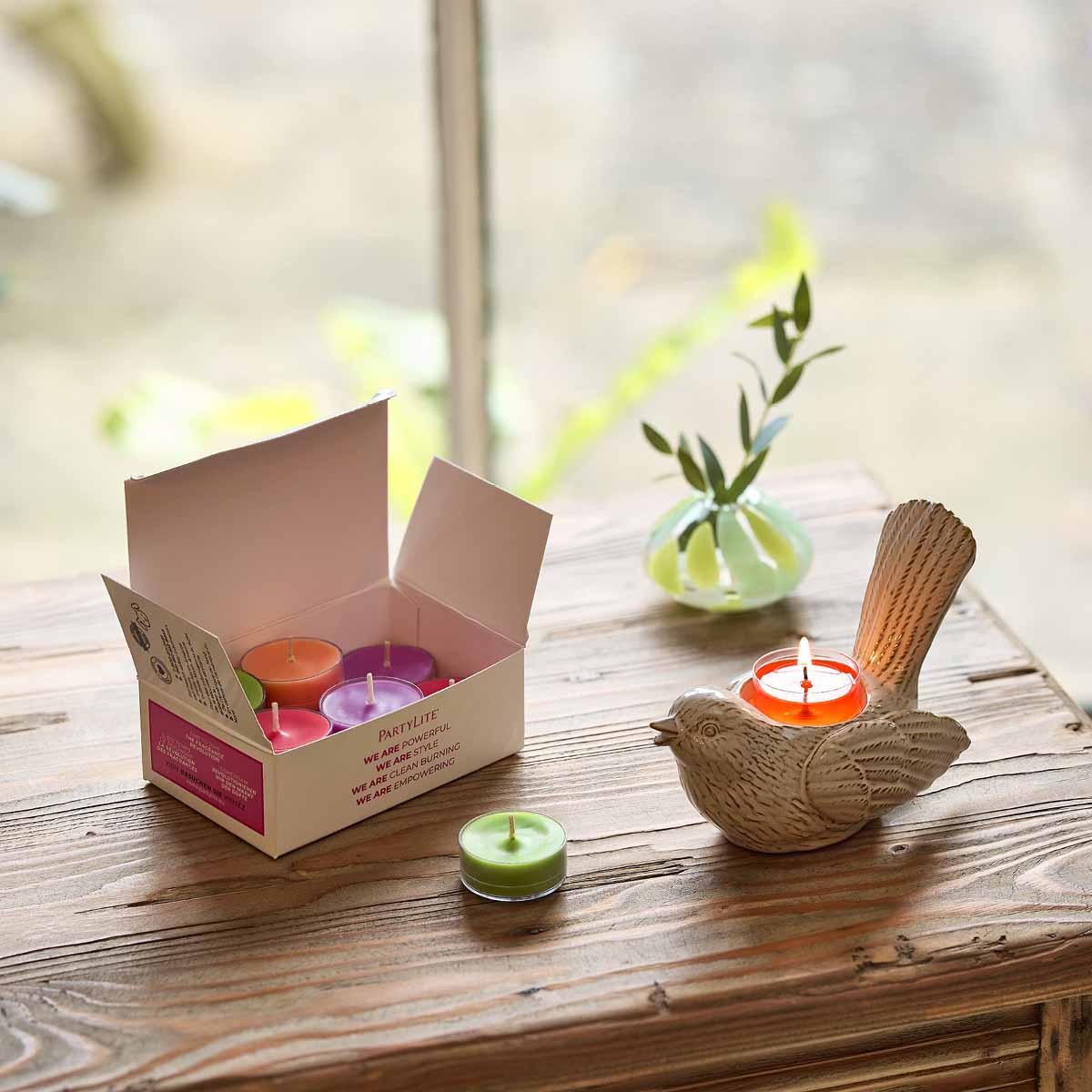 Garden Beauty 12-Piece  colorful Tealight Sampler shown with the Songbird tealight holder with a lit tealight on a wooden surface.