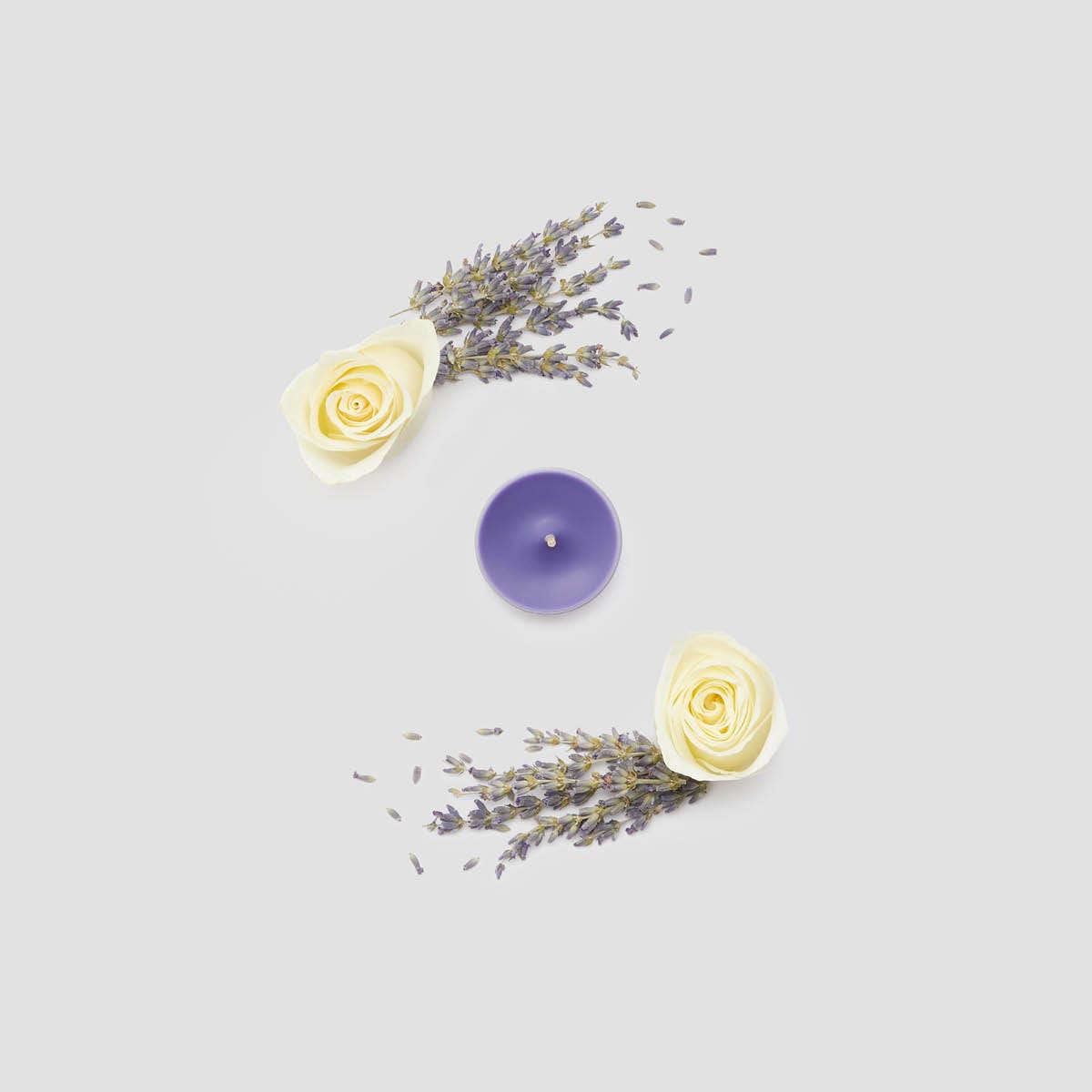 Twilight Lavender Universal Tealight® Candles - PartyLite US