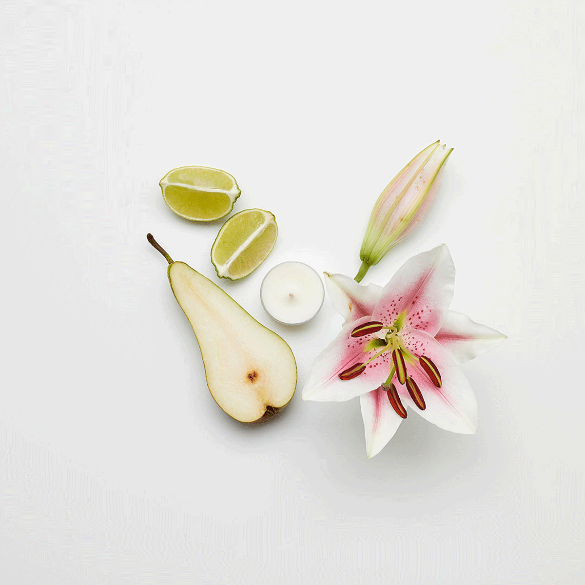 Lily & Linen Universal Tealight® Candles - PartyLite US